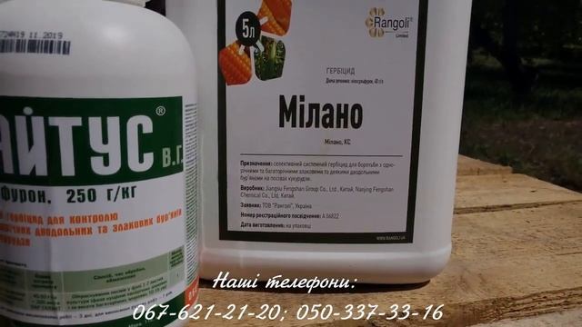 Технологія засобів захисту кукурудзи в полі смотреть онлайн