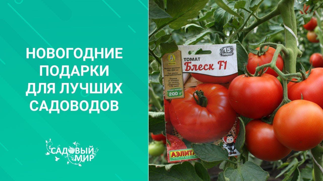 Новогодние подарки для лучших садоводов смотреть онлайн