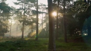 ? РОКОВАЯ встреча  Случай в тайге