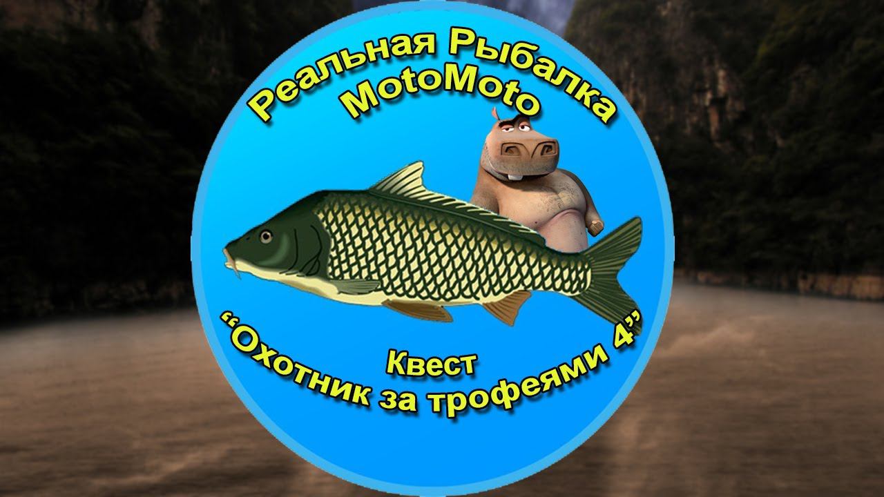 Квест 