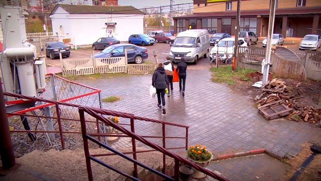 В Вышнем Волочке прошла благотворительная акция «Протяни руку лапе» смотреть онлайн