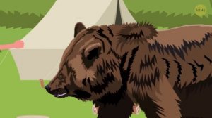 Что делать, если вы встретили медведя