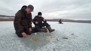 Ловля Плотвы! Рыбалка в Шарыпово! Закрытие зимнего сезона 2021 - 2022г!