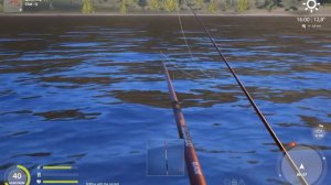 Russian Fishing 4 - Peled Trophy 3,256 kg - Lower Tunguska River