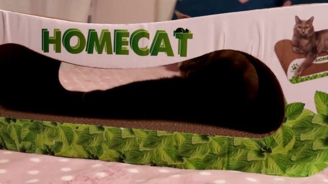 Когтеточка HOMECAT. Распаковка, реакция кота