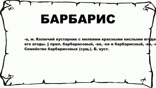 БАРБАРИС - что это такое? значение и описание
