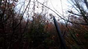 WOODCOCK HUNTING ON A HEAVY RAIN || 25 minutes of poinitng on one woodcock