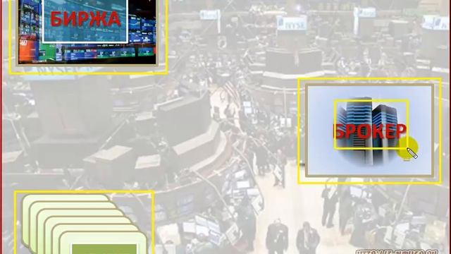 Фондовая биржа. Интернет-трейдинг
