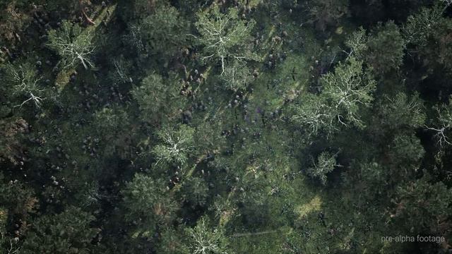 DISTORTION _ Прогресс трейлер I (pre-alpha) смотреть онлайн