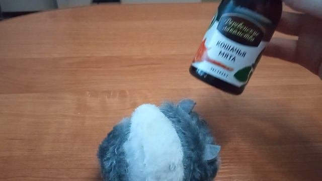 Купила виброигрушку! Тестдрайв и ощущения