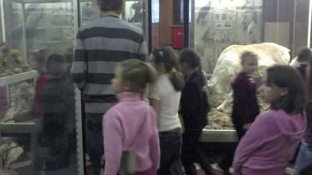 Зоологический музей.m4v смотреть онлайн