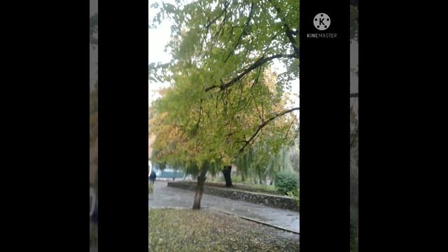 Осенние переливы #осень #осеннеенастроение #осень2021 #осеньзолотая #осеньонлайн #осенний