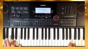 Демонстрация универсального стиля Что ж ты лето. Стиль для синтезатора Casio CT-X3000-5000.