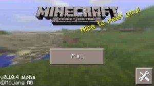 Как убрать ник в Minecraft P.E