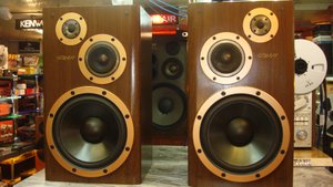Акустика Victor SX-511