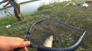 ЖОР САЗАНА на реке...Рыбалка с ночевкой удалась! Карась идёт тоже, рыбалка 2021
