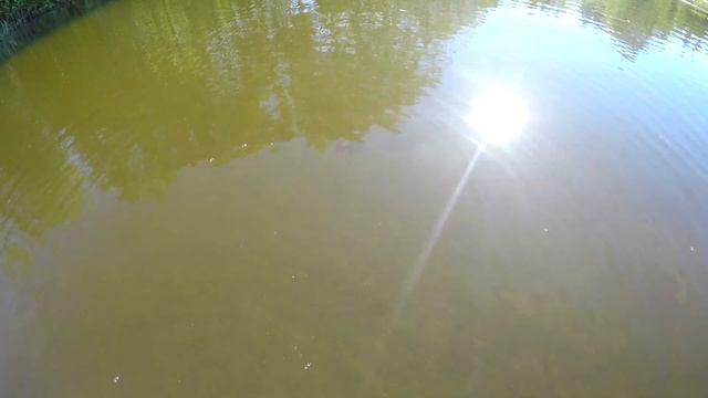 Ловля краснопёрки на ультралайт. В поисках 1 кг краснопёрки на ультралайт.