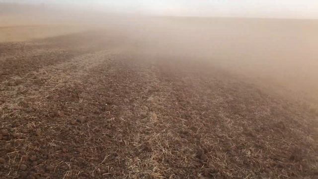 Лущильник дисковый (дисковая борона) «Чоппер» Диас в работе смотреть онлайн