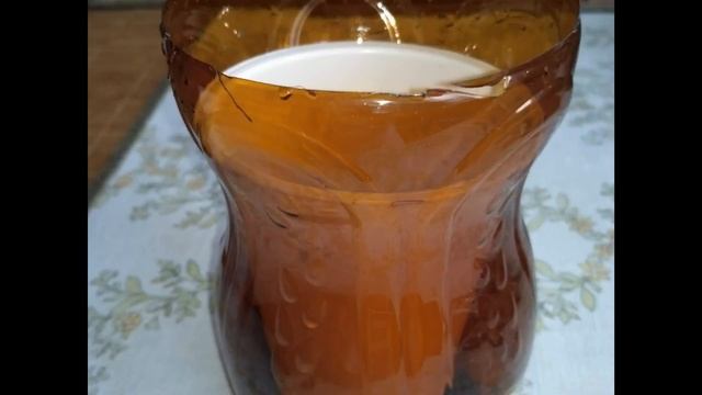 Кашпо бесплатно за 5 минут с автополивом смотреть онлайн