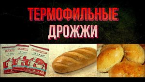 Термофильные Дрожжи - источник заражения грибками паразитами