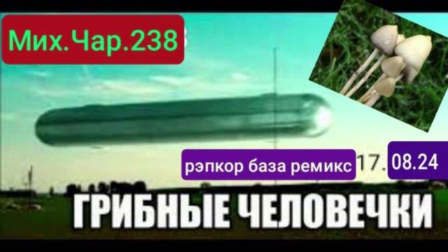 ГРИБНЫЕ ЧЕЛОВЕЧКИ _ РЭПКОР _РЕМИКС _17.08.24_ПЛЮС И МИНУС _ТРЕКИ - МИХ.ЧАР.238 -