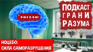 Ноцебо: сила саморазрушения. Инженер Историй: Подкаст ГРАНИ РАЗУМА. 12+