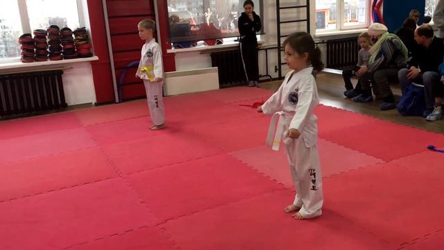 Второй турнир по ТХЭКВОНДО в 5 лет. Техника ударов смотреть онлайн