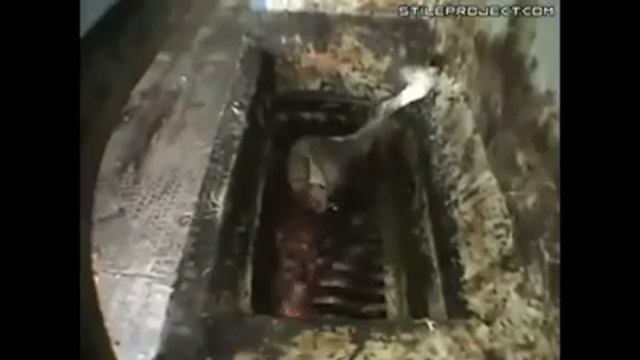 Как делают колбасу