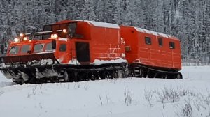 #дт10 Витязь через р.Большой Патом 2021год
