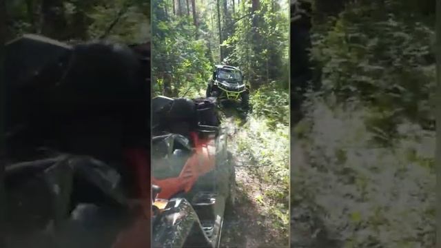 13 июня 2020 г. смотреть онлайн