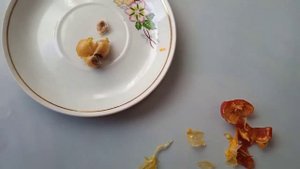 Сажаю Кливию семенами! Таких роликов один, два! ?Тюльпаны