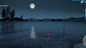 My Fishing World : Белоглазка (Ежедневное Задание, Озеро Тахо) #myfishingworld