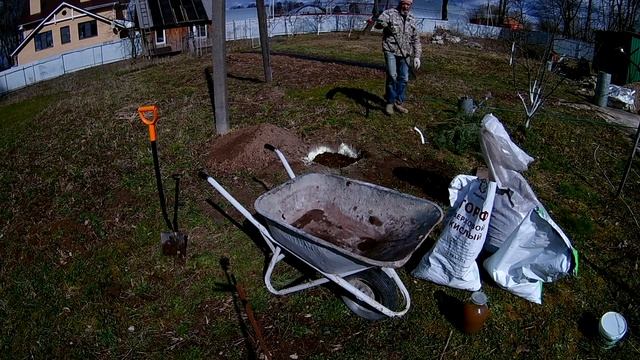 Посадка голубики от безысходности. смотреть онлайн