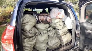 Объем багажника тойота рав 4 | Загрузил целый багажник картошки в рафика