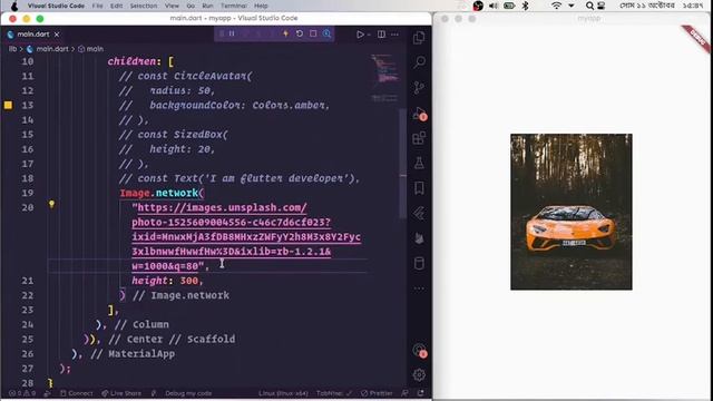 Flutter importing image, fonts and assets смотреть онлайн