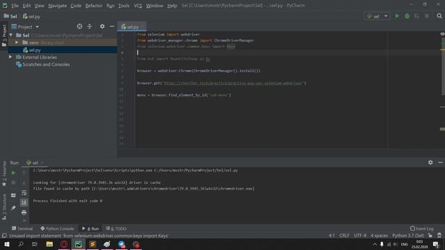Использование библиотеки Selenium в Python