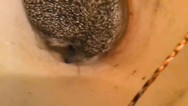 Еж смотреть онлайн