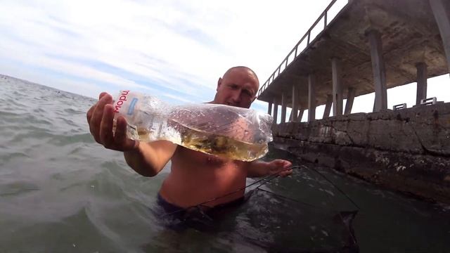 Креветки, Одесса, Ланжерон 2021 смотреть онлайн