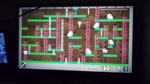 Game LG - Paperboy level 30 - From Indonesian