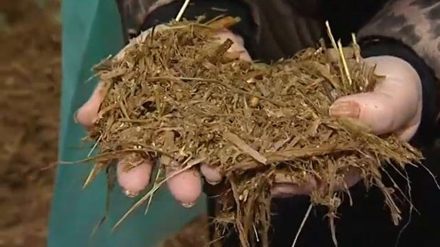 Высокобелковые кормовые добавки "Cavikorm®"