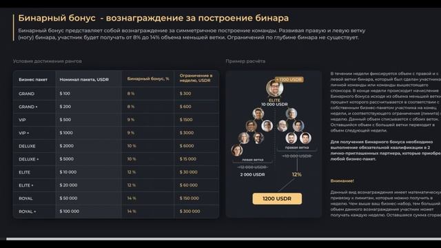Маркетинг RELICTUM LAB | Маркетинг #Реликтум Лаб Разбираю подробно смотреть онлайн