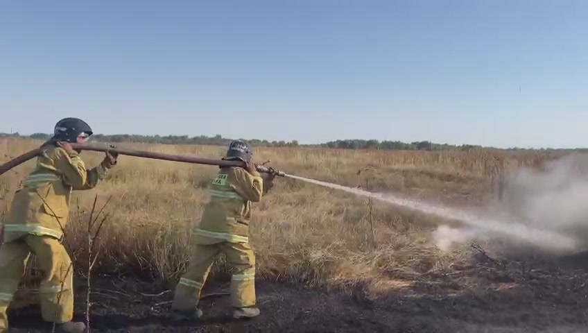 Спасенное поле. Адский пожар на поле. Огонь на поле возле Недвиговки. Пожарник в огне спасает ребенка.