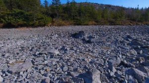 Приморский край, гора Ольховая 1669 метров