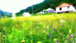 Красоты гор. Удивительные пейзажи в с.Шапих Цунтинском районе р.Дагестан