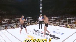 Сила удара в 2700кг прямо в голову! Ударная мощь Мирко Филипповича "Крокопа"