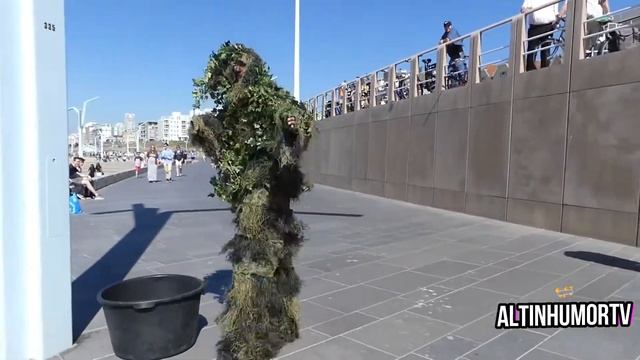 Пранк, притворился клумбой