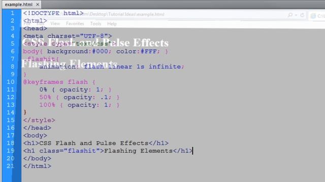 CSS3 Flash and Pulse Effects Animation Tutorial