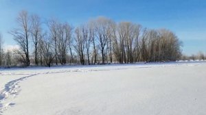 Перчатки с подогревом. Стоит ли их покупать...