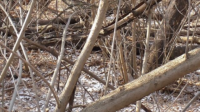 Набор инструмента для обрезки сада смотреть онлайн