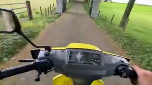 Yamaha mint